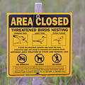 Area Closed Sign, Due To Nesting Birds Including Common