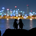 Two Little Blue Penguins On Rocks, Victoria, Australia