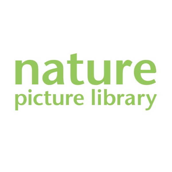Nature Picture Library